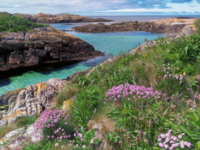 Island of Coll