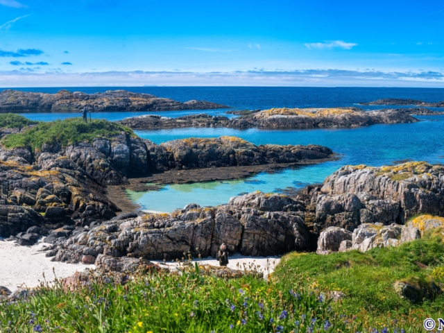Island of Coll
